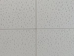 高さに余裕がなくても大丈夫、<br>飲料水充填ラインを短工期でクリーン化